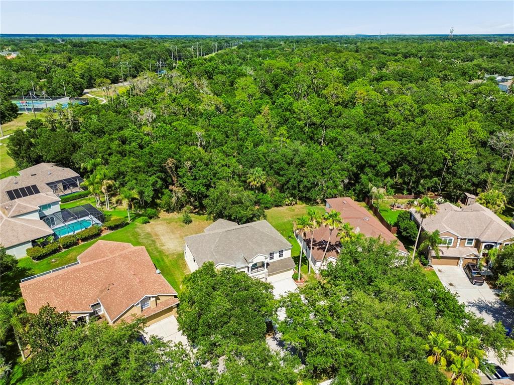 16936 Falconridge Road Lithia, FL 33547 - Photo 81 of 87