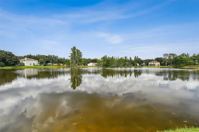 $2,900 | 17737 Esprit Drive, Tampa, FL 33647