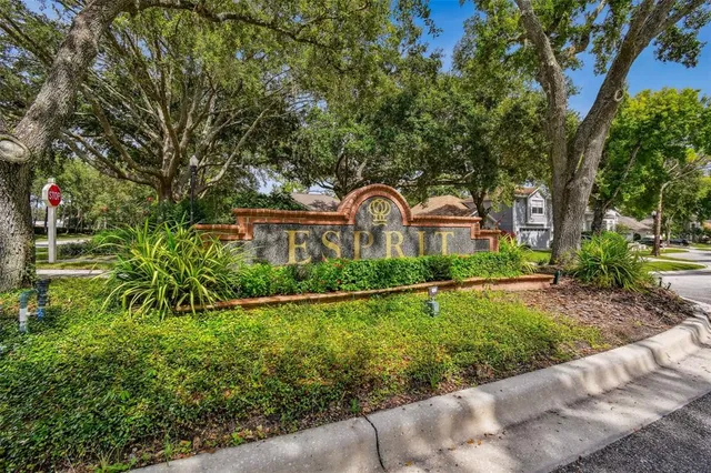 $2,900 | 17737 Esprit Drive, Tampa, FL 33647