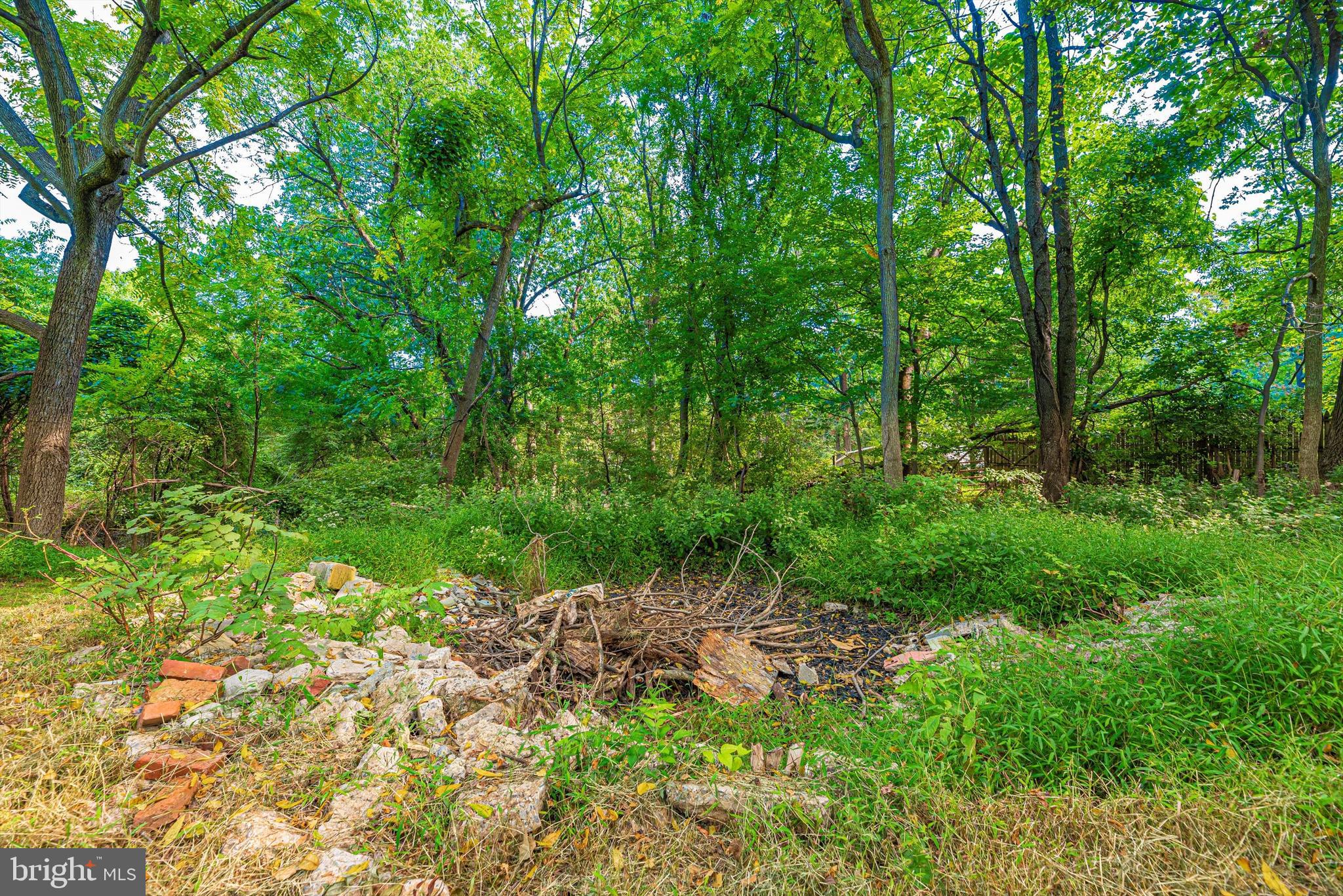 6153 Fulmer Road Frederick, MD 21703 - Photo 35 of 37 Partly wooded