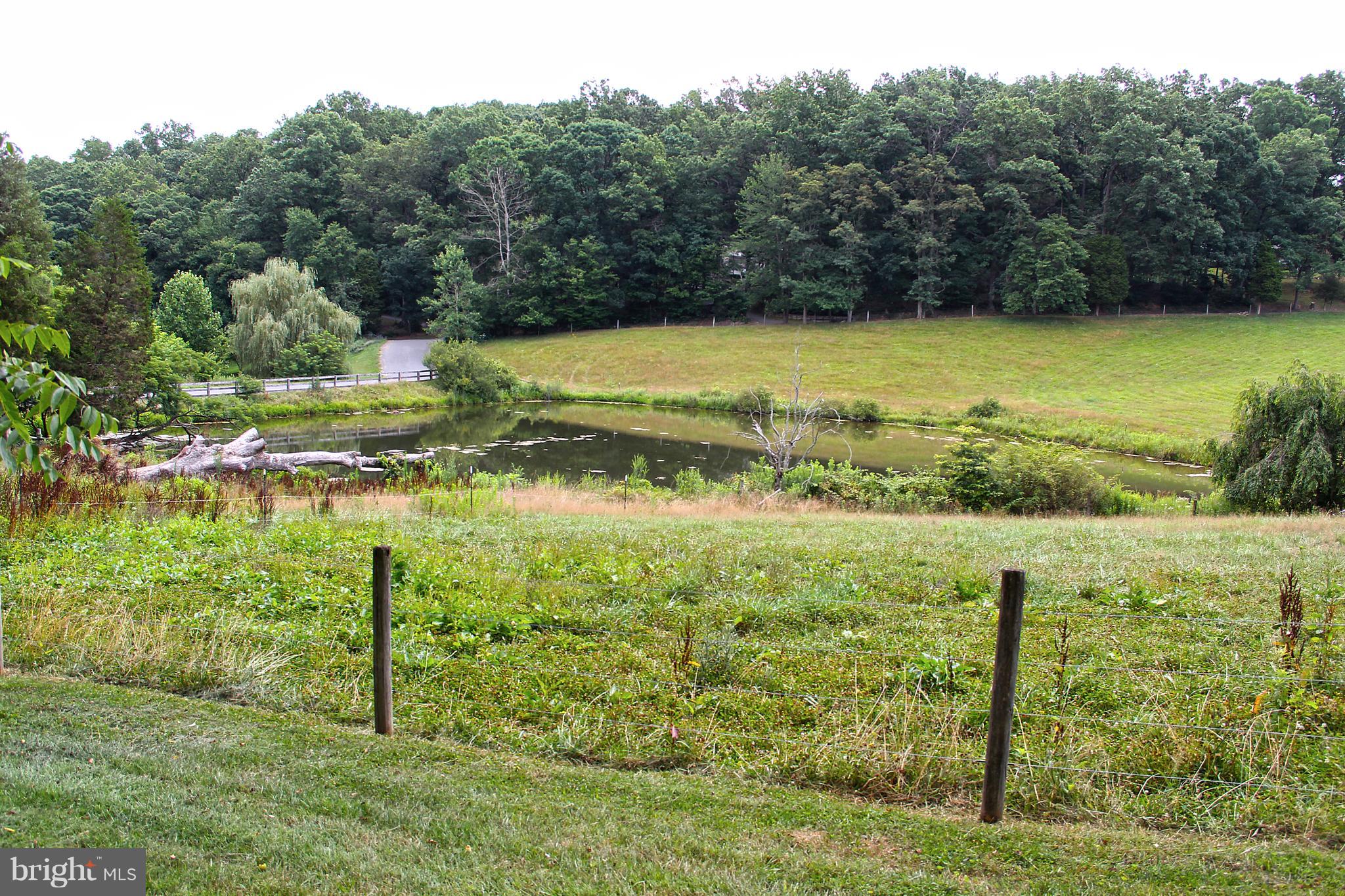 4200 Little Road Whiteford, MD 21160 - Photo 11 of 43