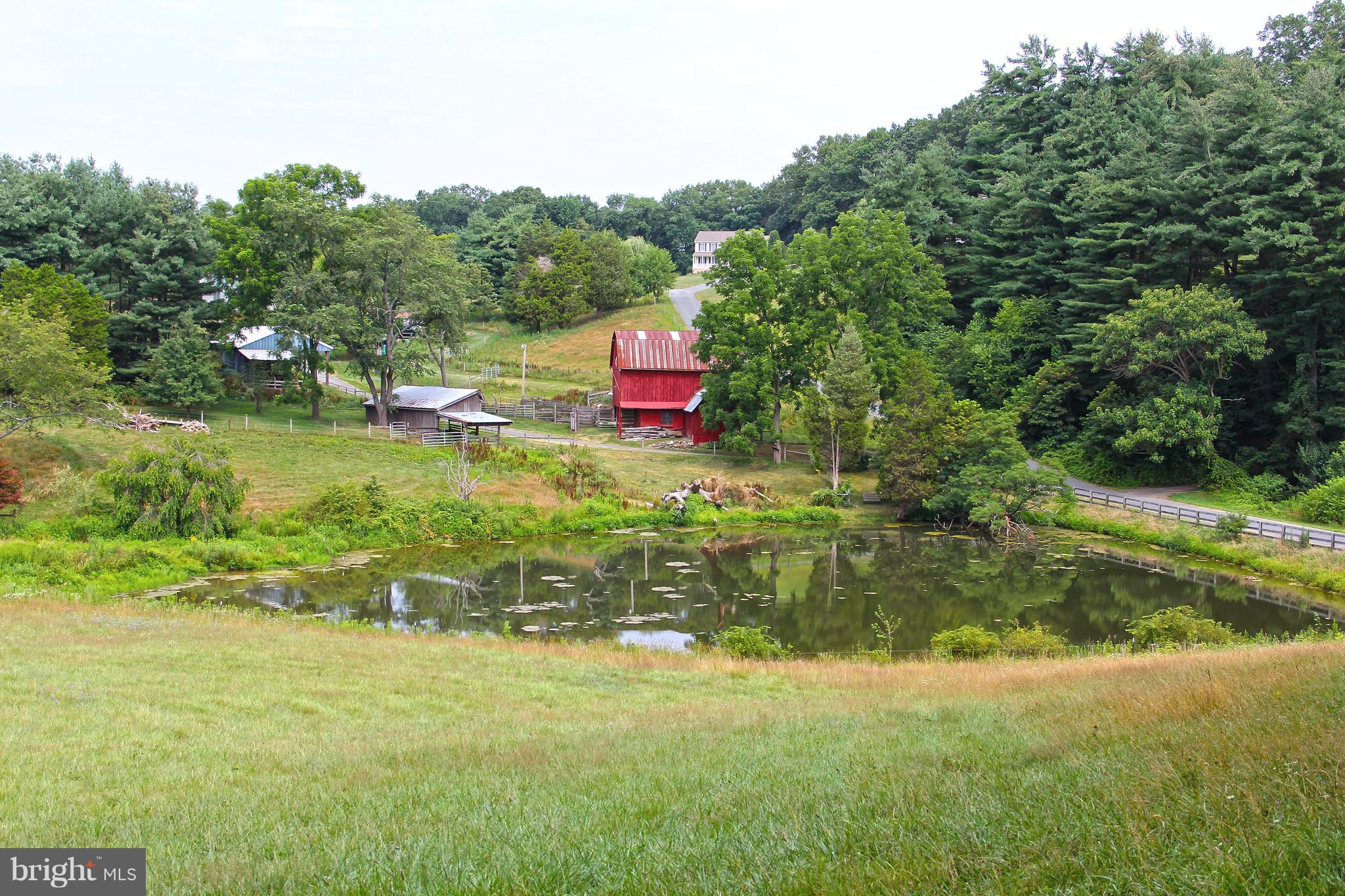 4200 Little Road Whiteford, MD 21160 - Photo 12 of 43