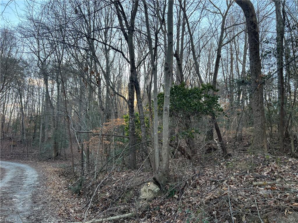 0 Lynnhaven Road Mount Airy, NC 27030 - Photo 1 of 1 Gallery Image 1