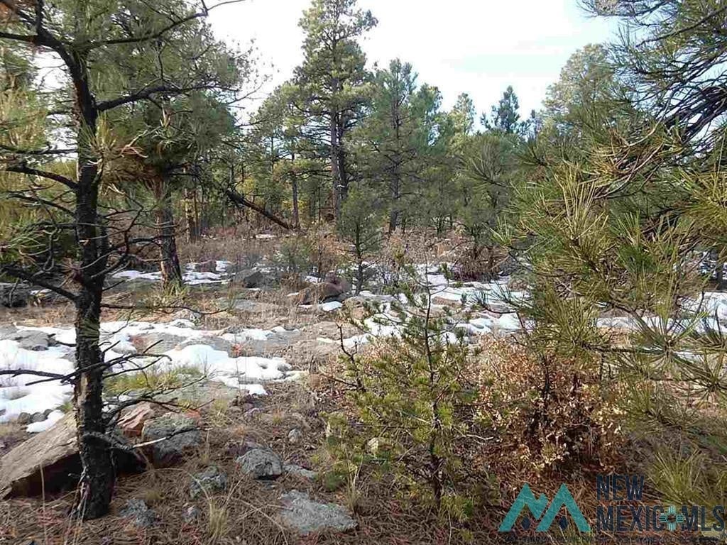 13 County Road Buena Vista, NM 87712 - Photo 1 of 11 Gallery Image 1