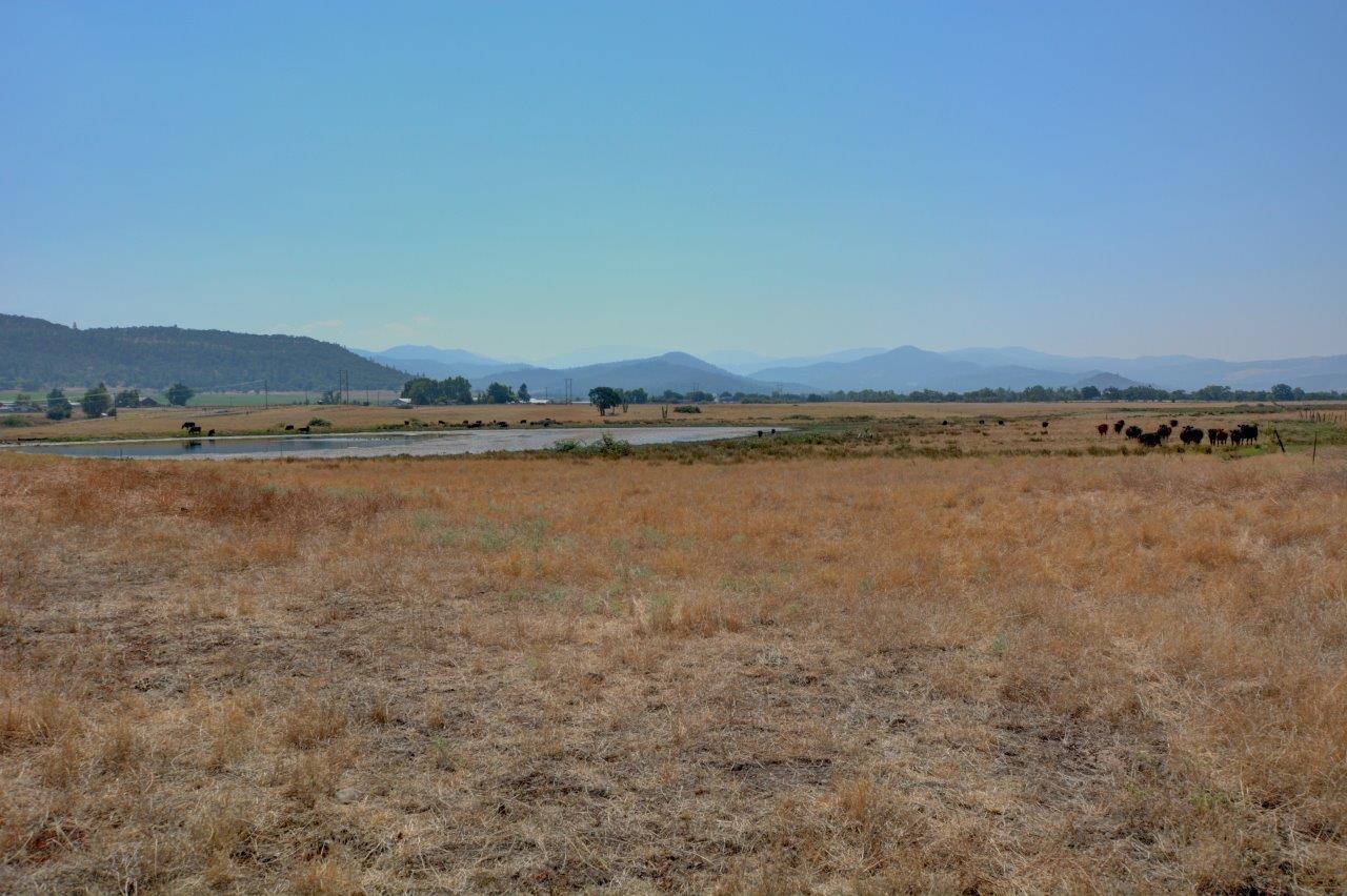 3760 Alta Vista Road Eagle Point, OR 97524 - Photo 47 of 74 DSC_5263_4_5