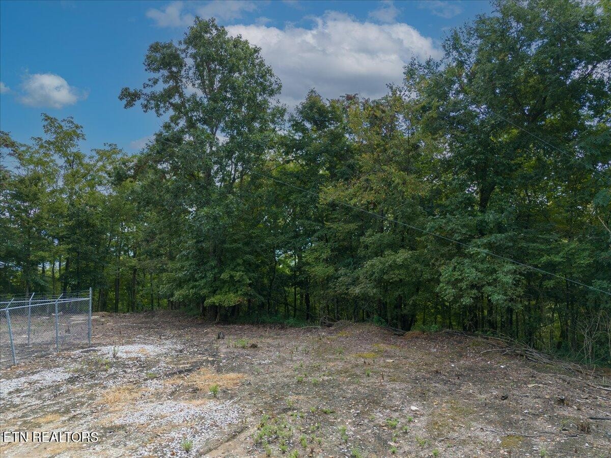 0 Fire Tower 23.2 Ac Road Sparta, TN 38583 - Photo 18 of 18 Gallery Image 18