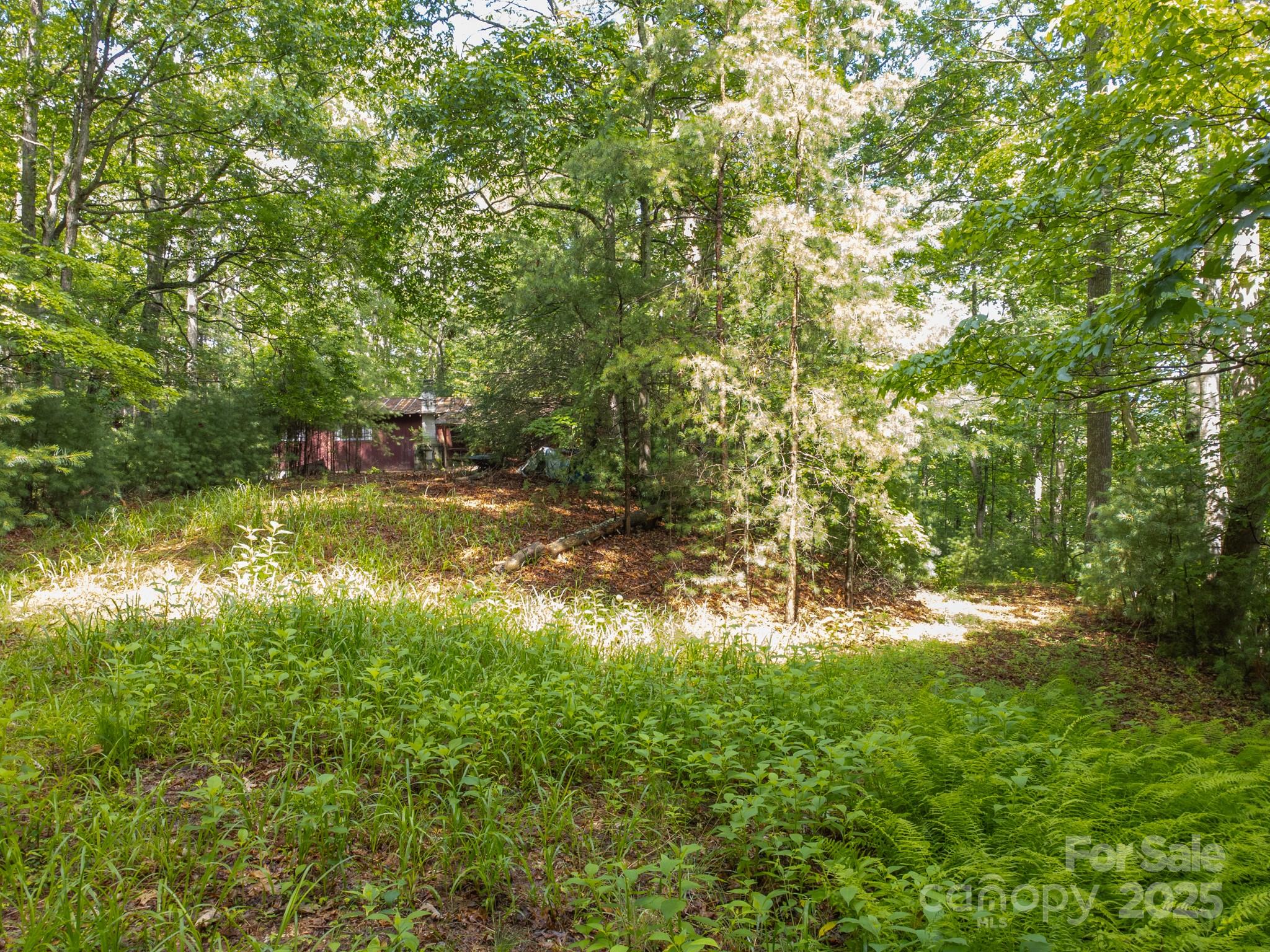 691 Sandy Bottom Road Marshall, NC 28753 - Photo 22 of 26 Gallery Image 22