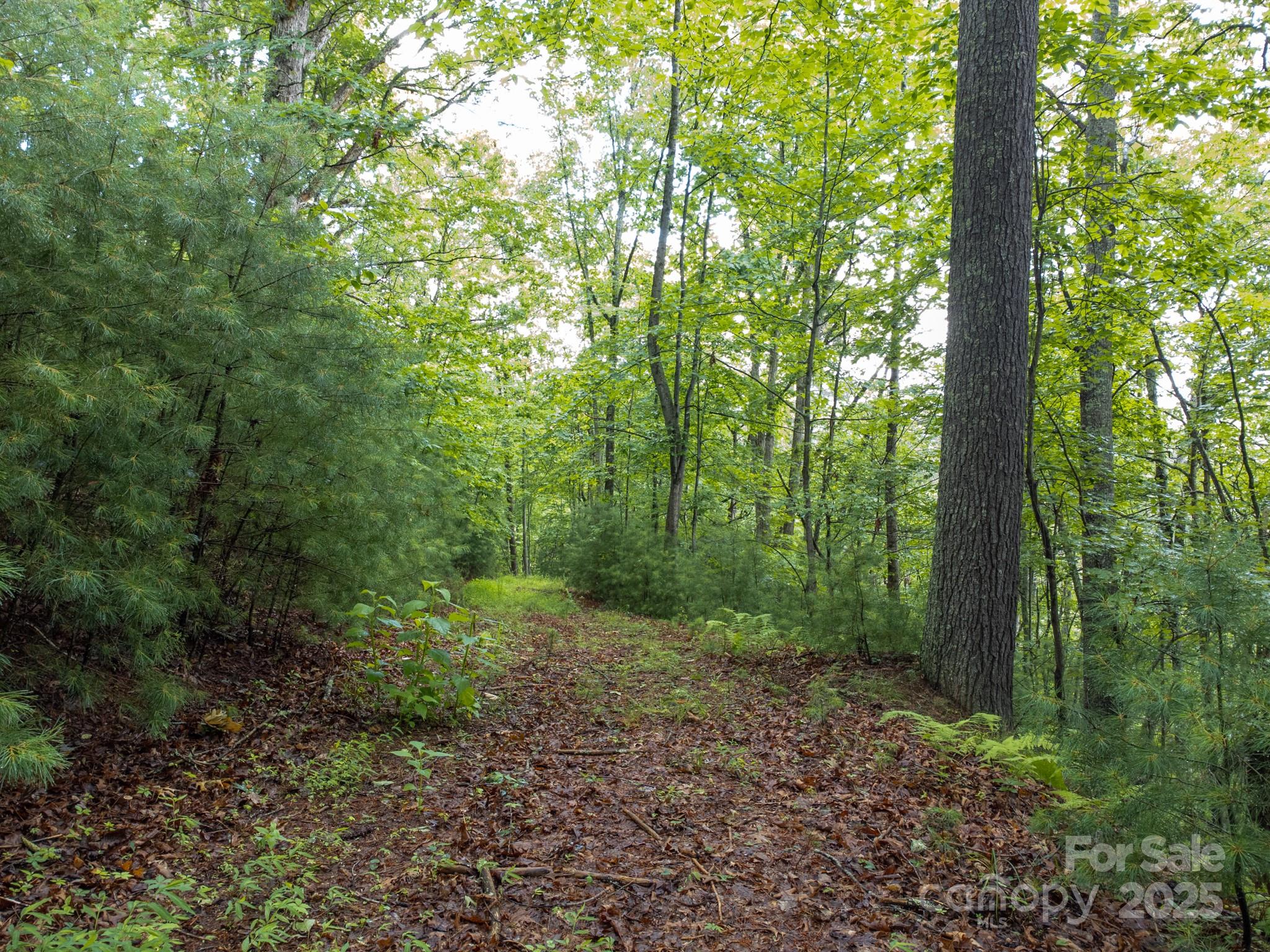 691 Sandy Bottom Road Marshall, NC 28753 - Photo 23 of 26 Gallery Image 23