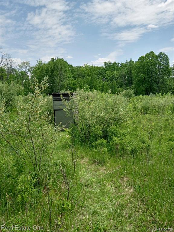 Vl Mills Road Prescott, MI 48756 - Photo 8 of 8 Gallery Image 8