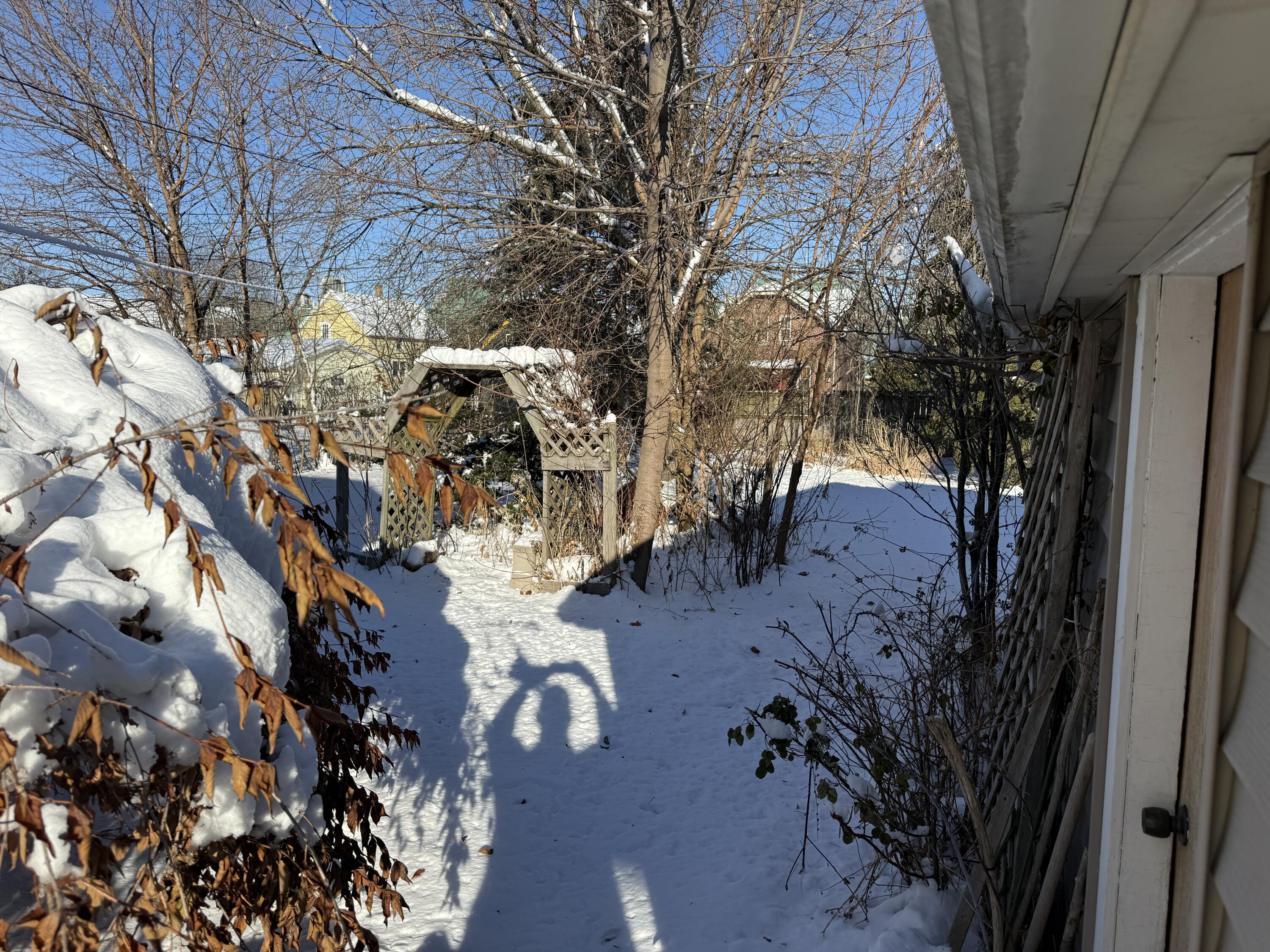 1602 Main Avenue Sheboygan, WI 53083 - Photo 7 of 7 Back Yard