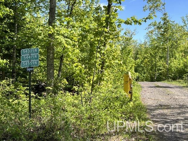 54335 Gay Road Lake Linden, MI 49945 - Photo 38 of 41