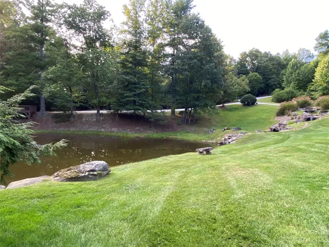 a body of water with a tree in the background