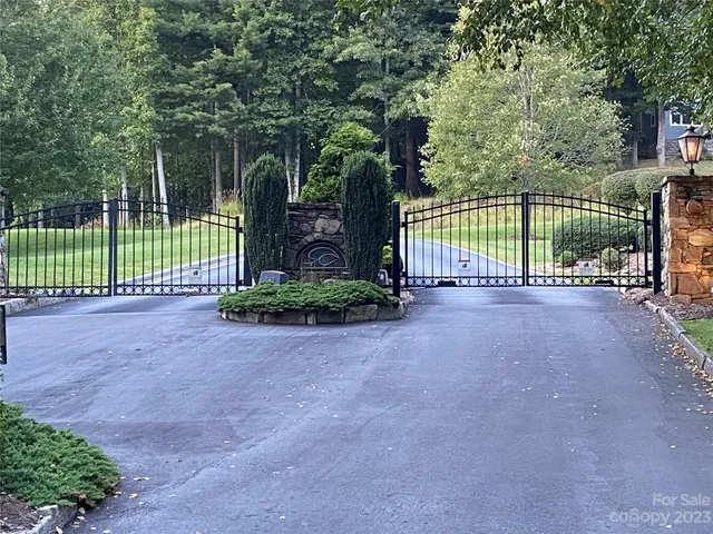 a view of a park with a large tree
