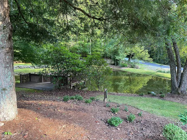 a backyard of a house with plants and large trees