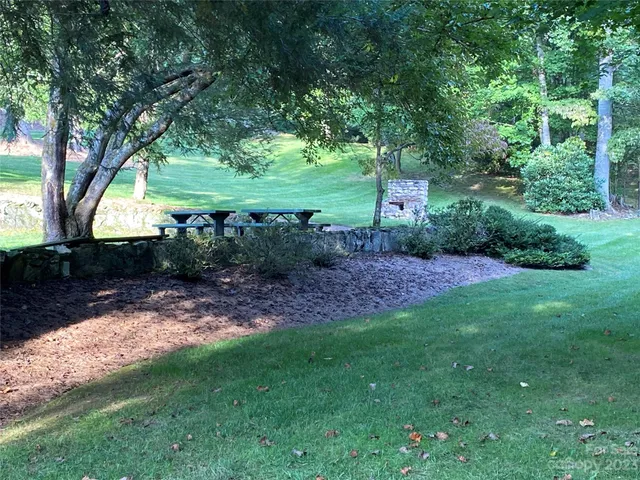 a view of a backyard with plants and large trees