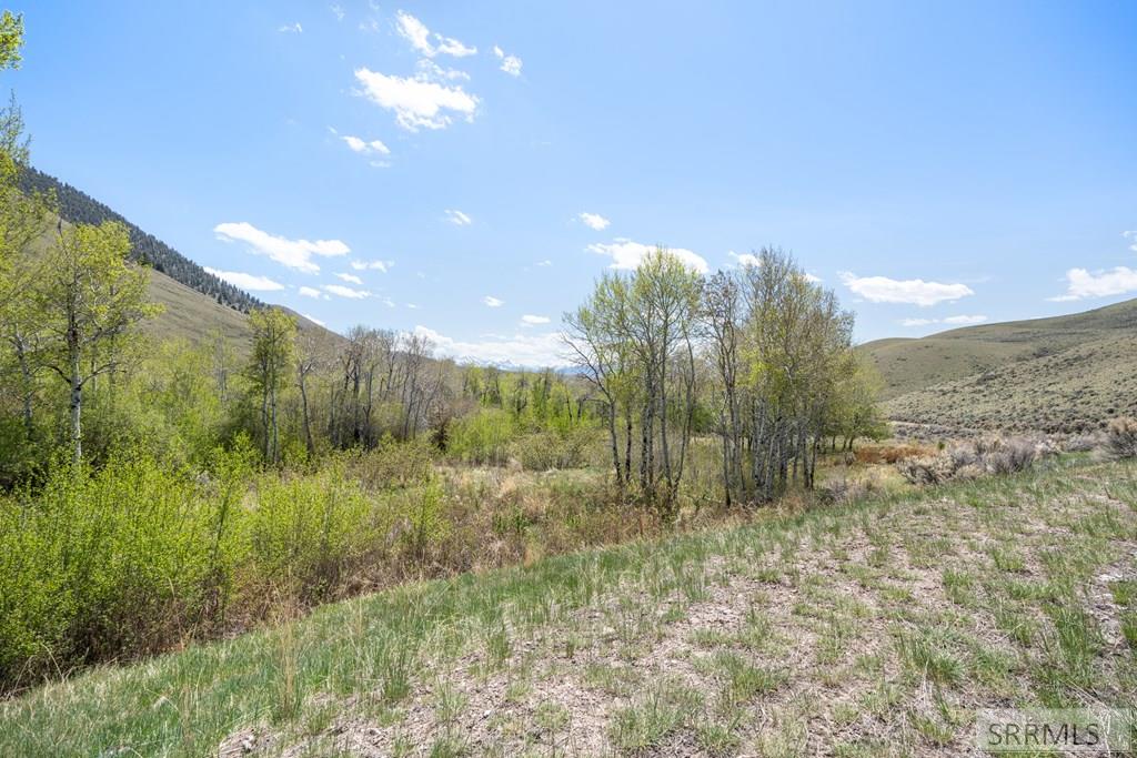 451 Peterson Creek Road Leadore, ID 83464 - Photo 31 of 98