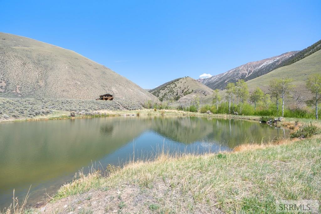 451 Peterson Creek Road Leadore, ID 83464 - Photo 32 of 98