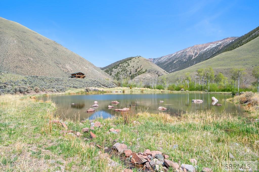 451 Peterson Creek Road Leadore, ID 83464 - Photo 41 of 98
