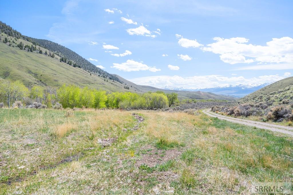451 Peterson Creek Road Leadore, ID 83464 - Photo 42 of 98