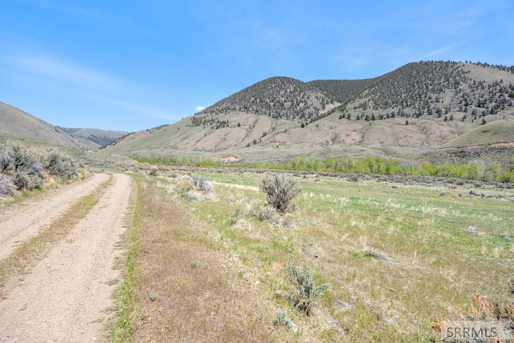 451 Peterson Creek Road Leadore, ID 83464 - Photo 43 of 98