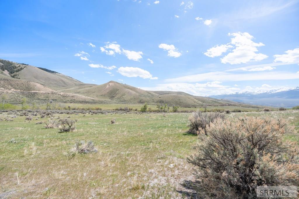 451 Peterson Creek Road Leadore, ID 83464 - Photo 44 of 98