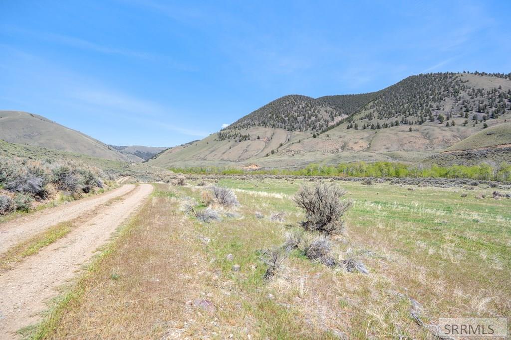 451 Peterson Creek Road Leadore, ID 83464 - Photo 45 of 98