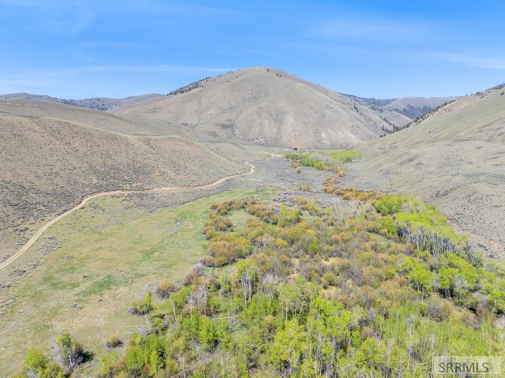 451 Peterson Creek Road Leadore, ID 83464 - Photo 91 of 98