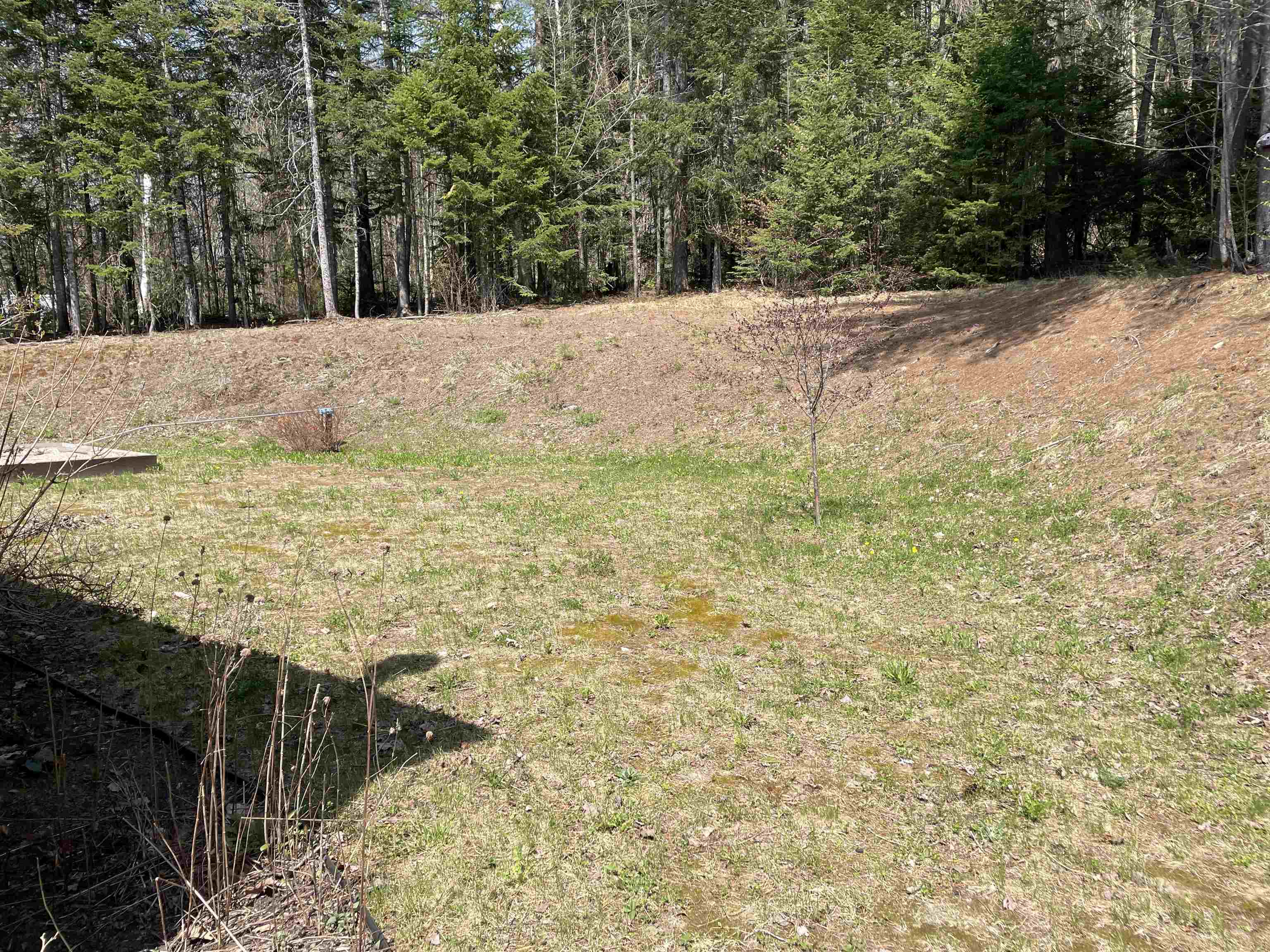 2804 Center Pond Road Newark, VT 05871 - Photo 19 of 27 Gallery Image 19