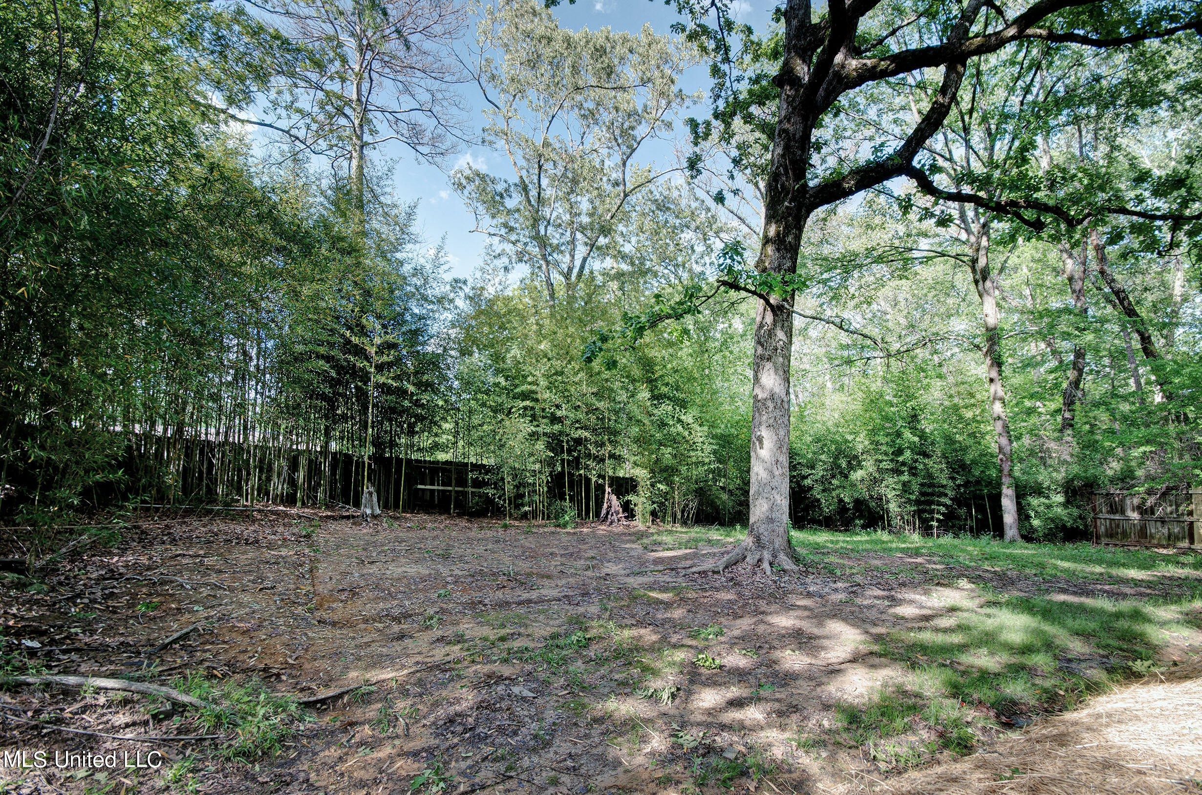 750 Green Forest Road Ridgeland, MS 39157 - Photo 23 of 23 IMGP6753_4_5