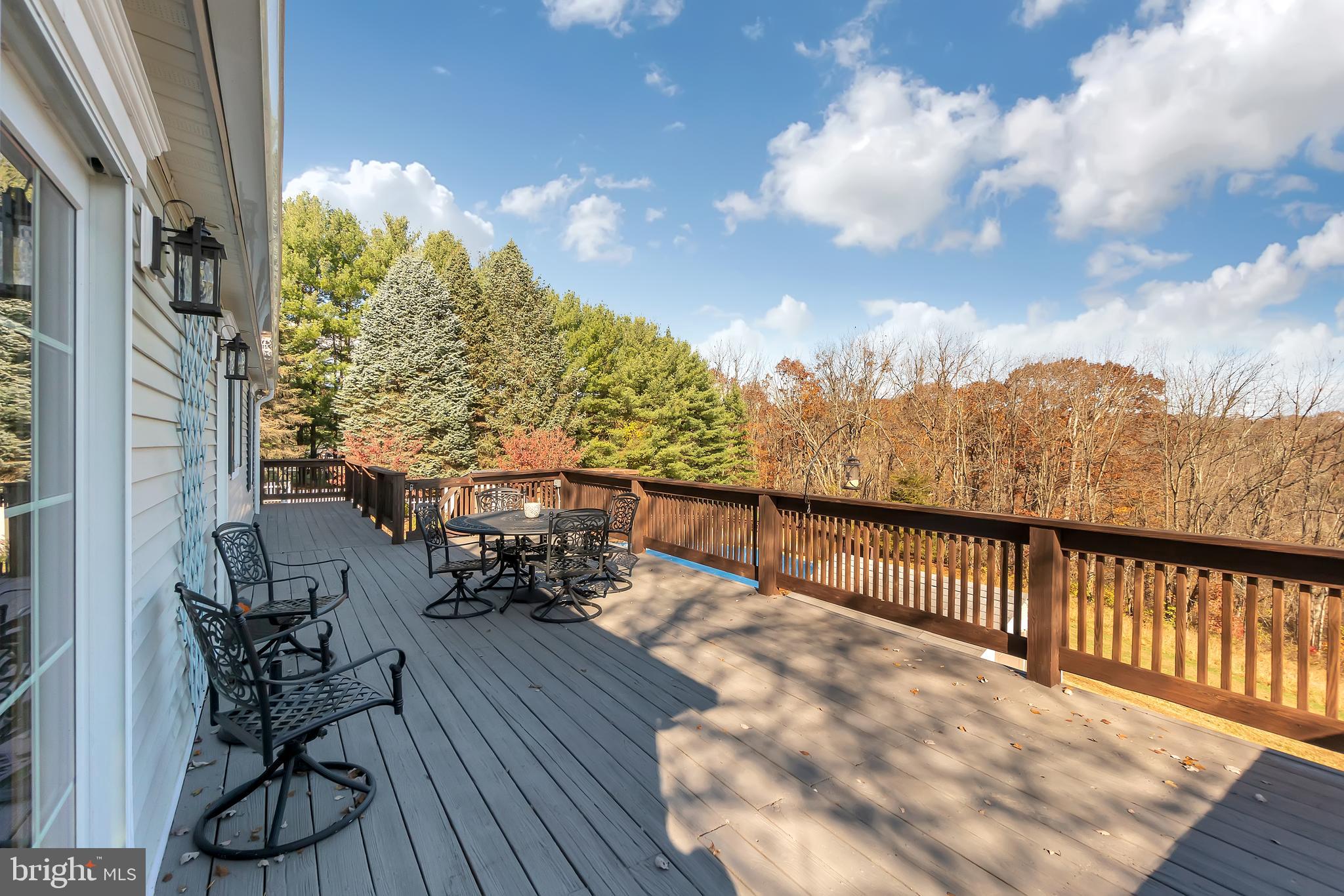 4850 Millers Station Road Hampstead, MD 21074 - Photo 45 of 53 Deck
