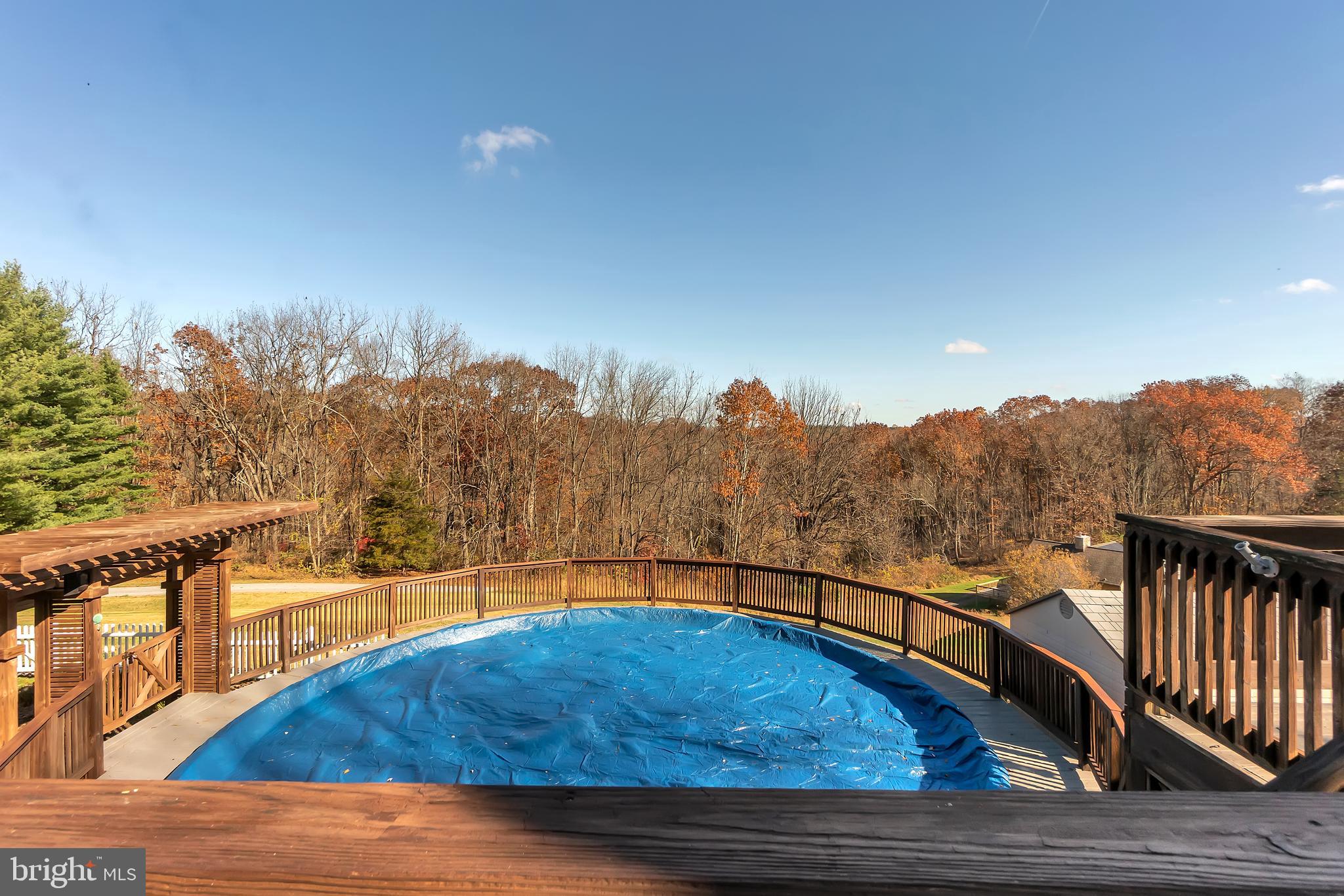 4850 Millers Station Road Hampstead, MD 21074 - Photo 47 of 53 View of pool (new liner)