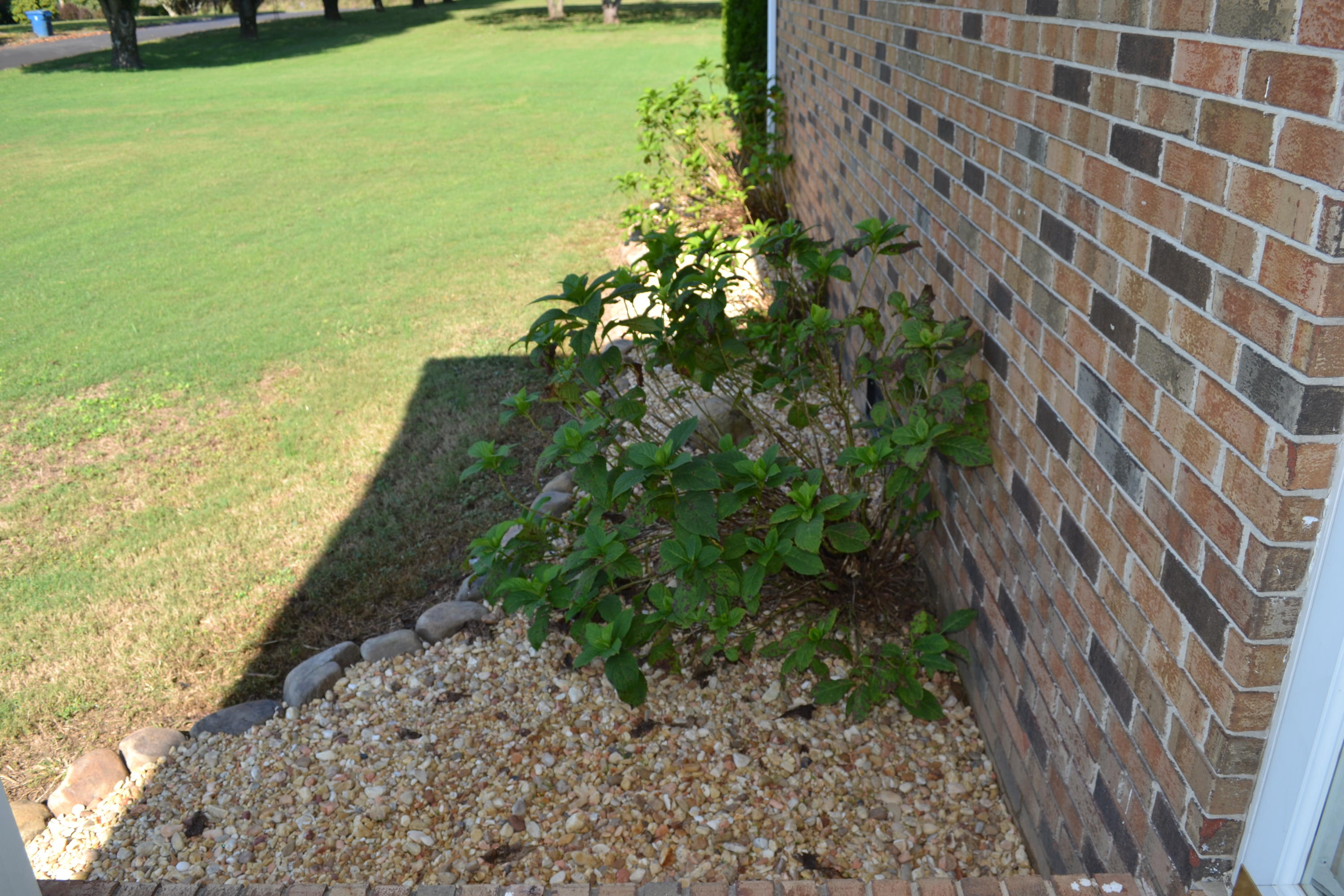 57 Clover Dale Road North, Unit S Dunlap, TN 37327 - Photo 16 of 20 DSC_0022