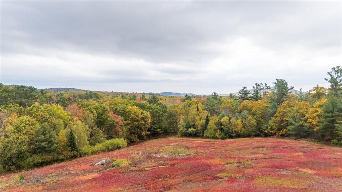 554 Beech Hill Road Northport, ME 04849 - Photo 3 of 9 04-Lot 7-4