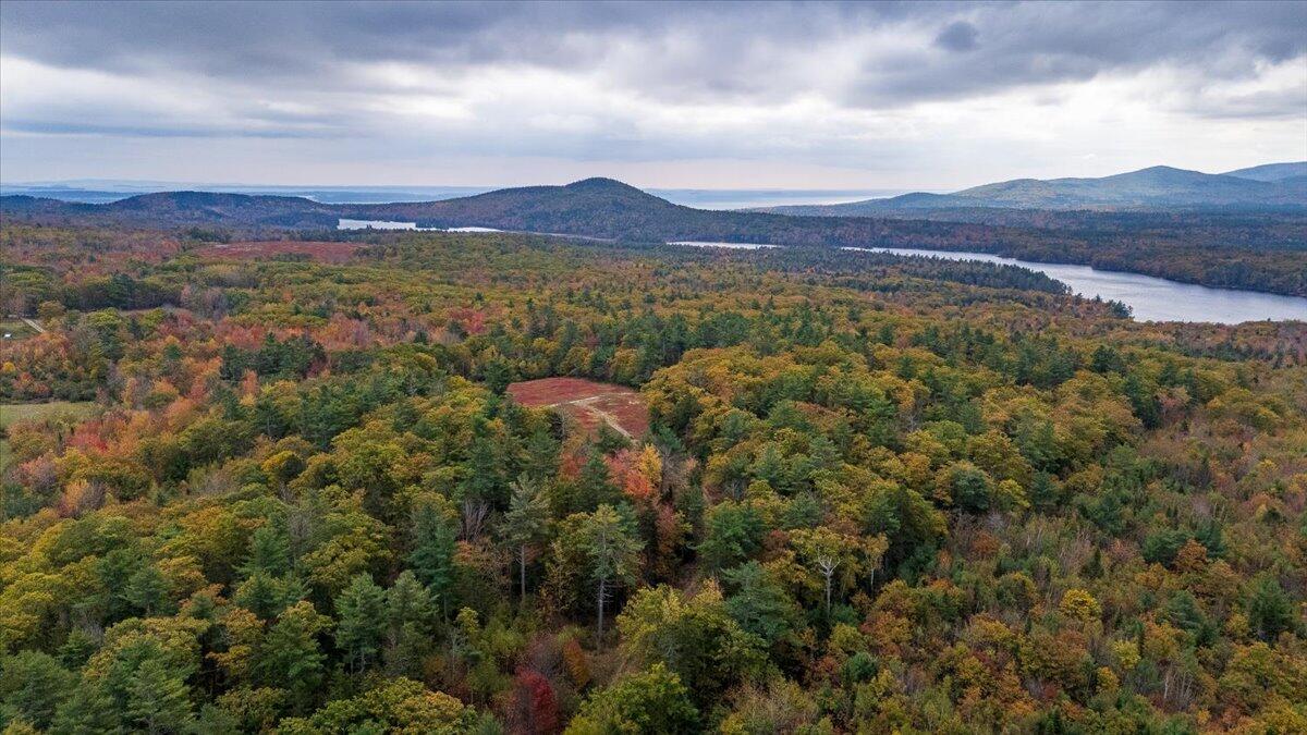 554 Beech Hill Road Northport, ME 04849 - Photo 6 of 9 14-Lot 7-14