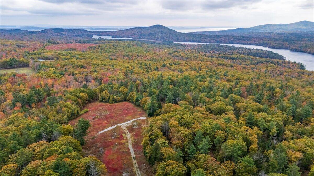 554 Beech Hill Road Northport, ME 04849 - Photo 8 of 9 21-Lot 7-21