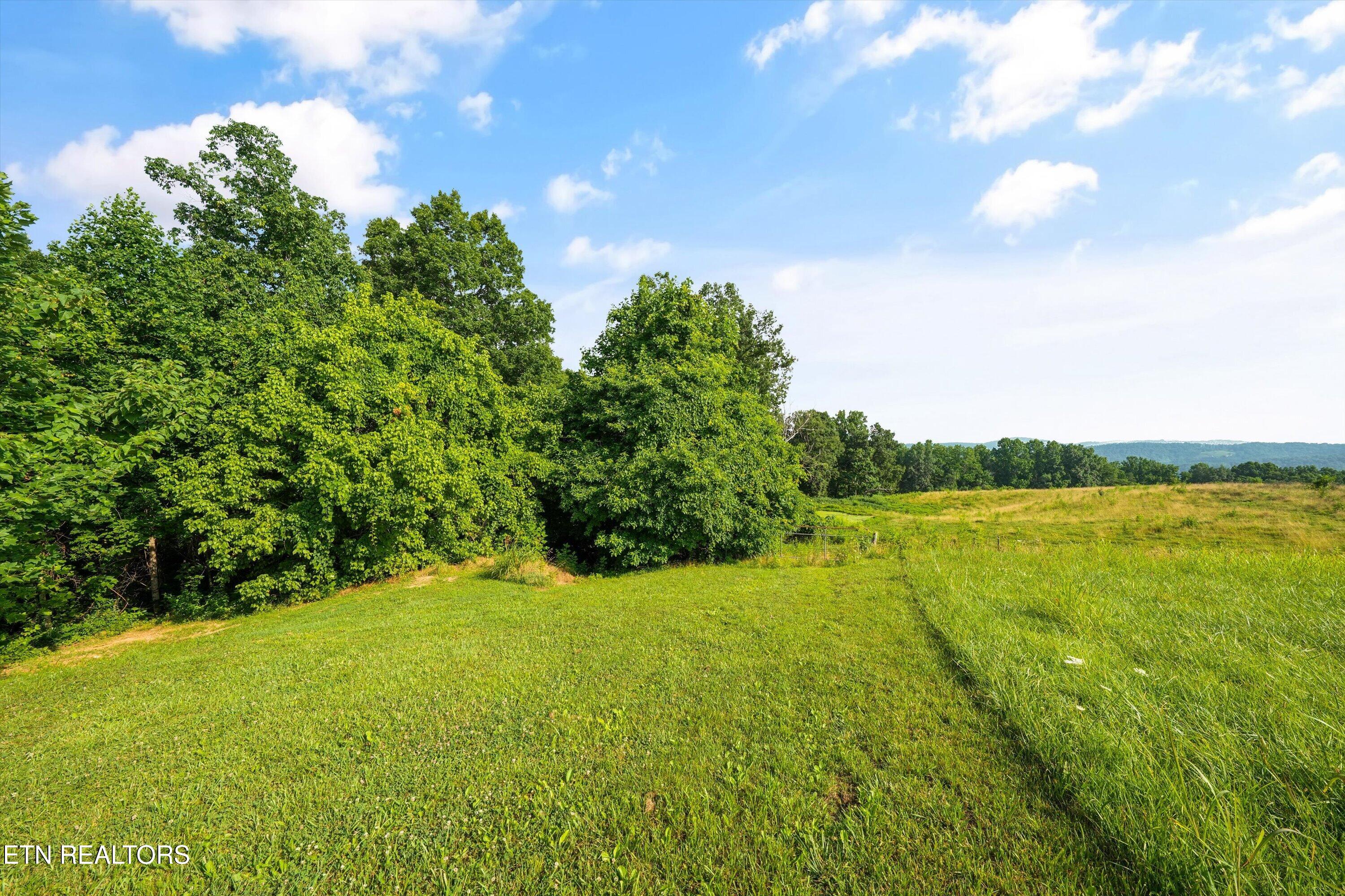 834 Walker Road Sharps Chapel, TN 37866 - Photo 30 of 44 36-834 Walker Rd44
