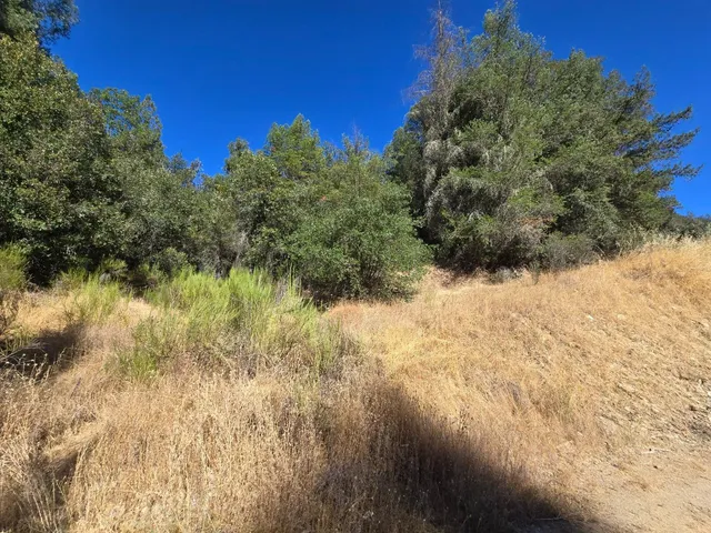 a view of a yard next to a building