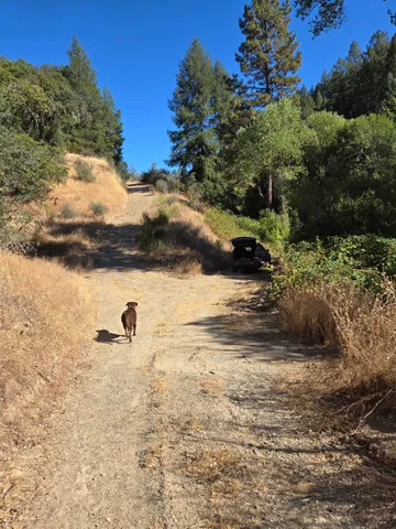 a view of a lake view