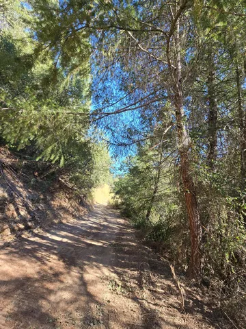 a backyard of a house