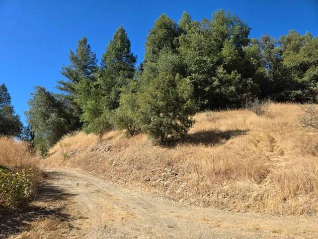 a view of a yard covered in snow