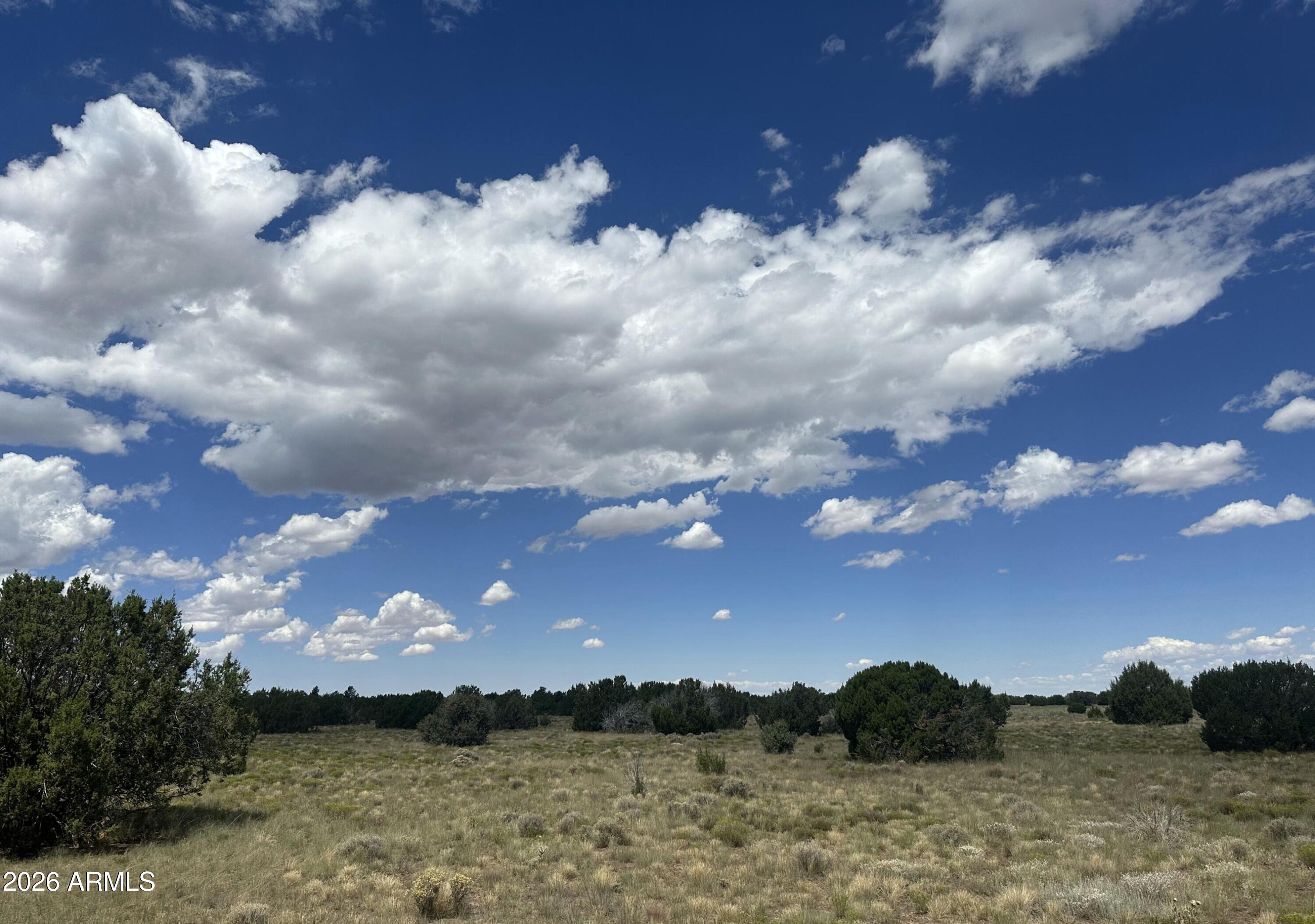 47 County Road Vernon, AZ 85940 - Photo 16 of 18 47 County Rd N3110