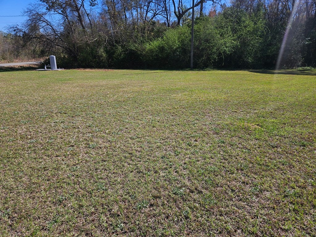 216 Cleveland Road Rebecca, GA 31783 - Photo 14 of 14 Gallery Image 14