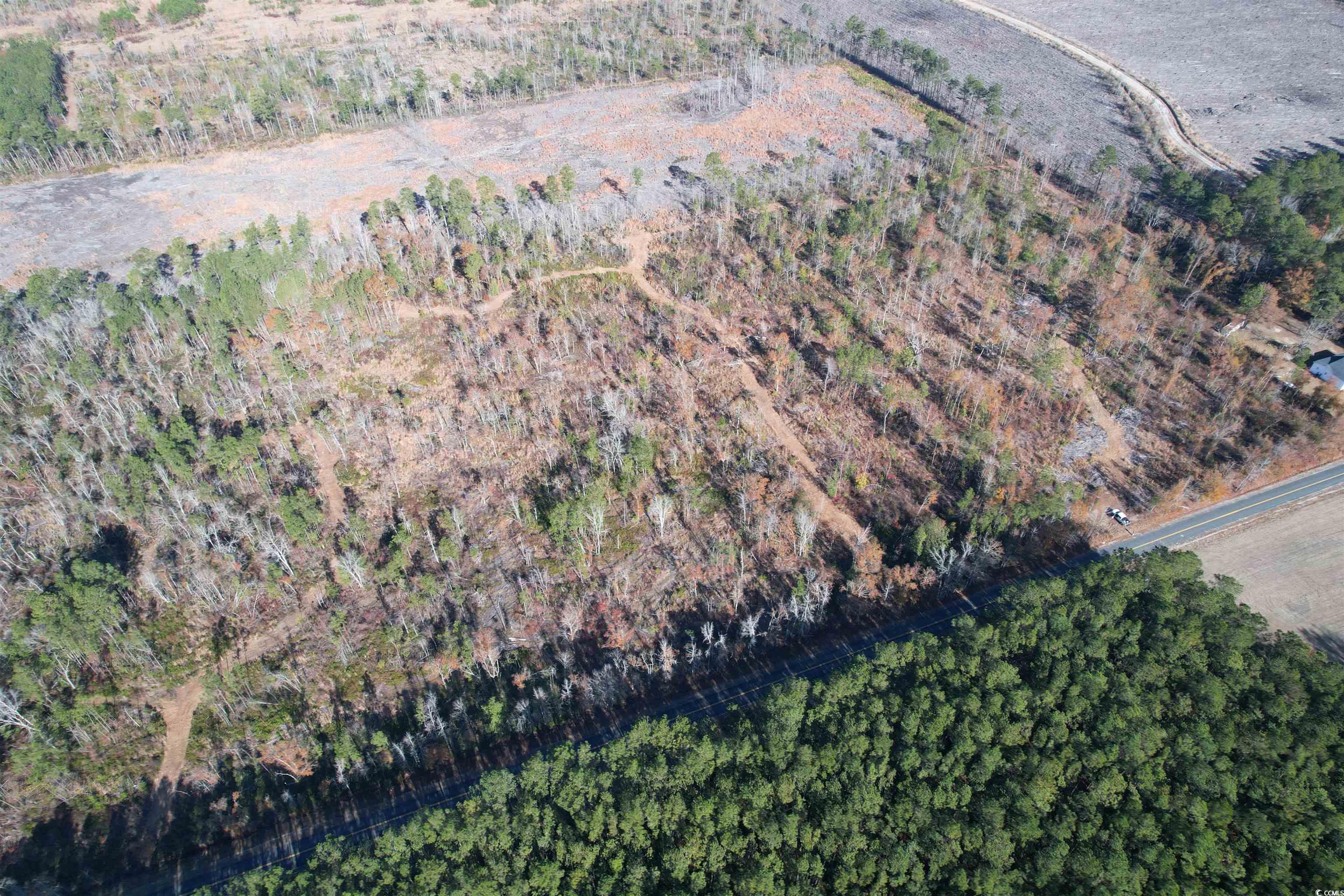 25-acres Tbd Corner Road New Zion, SC 29111 - Photo 11 of 13 Gallery Image 11