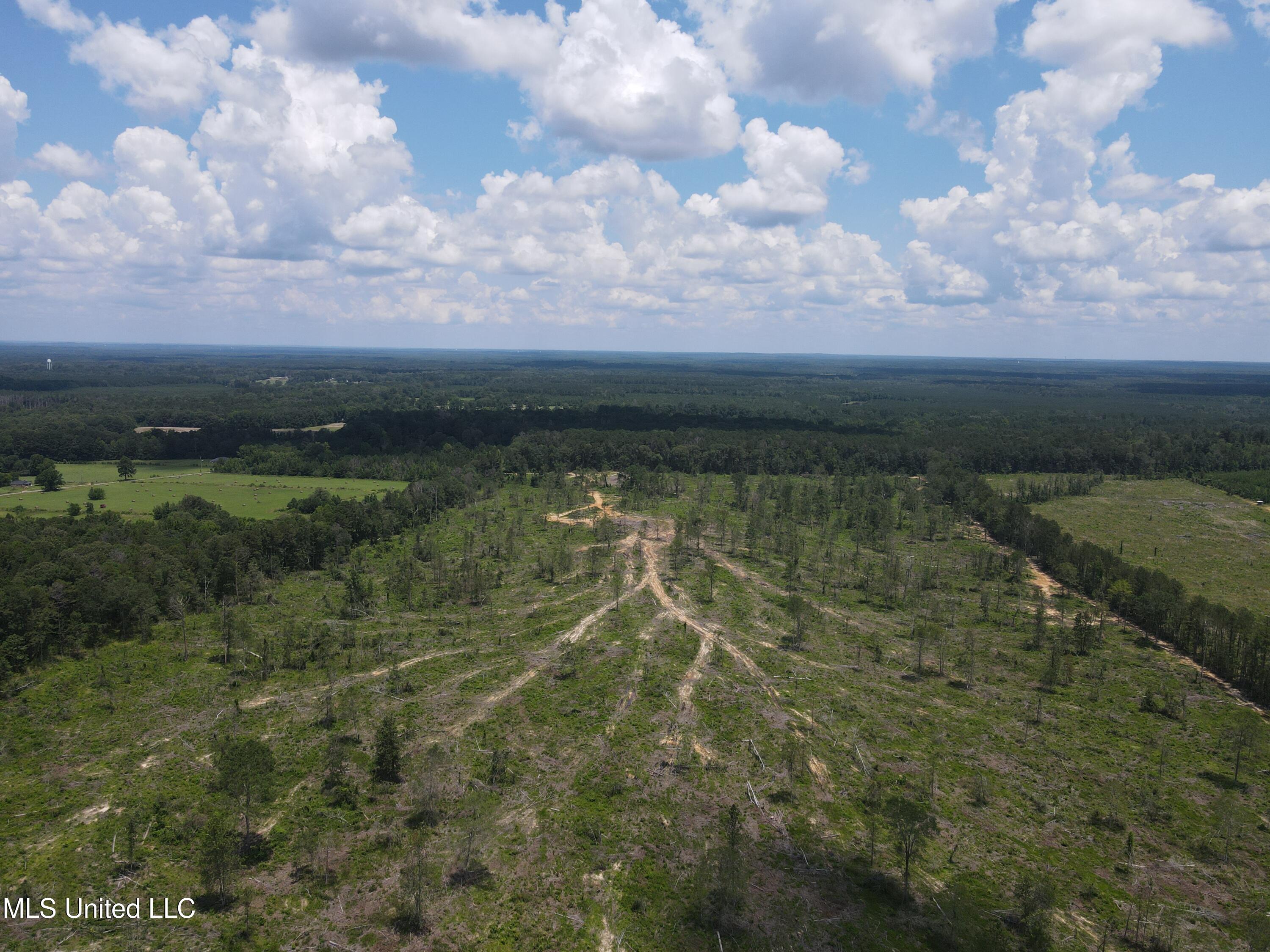 Henry Cannon Road Braxton, MS 39044 - Photo 4 of 33 DJI_0239