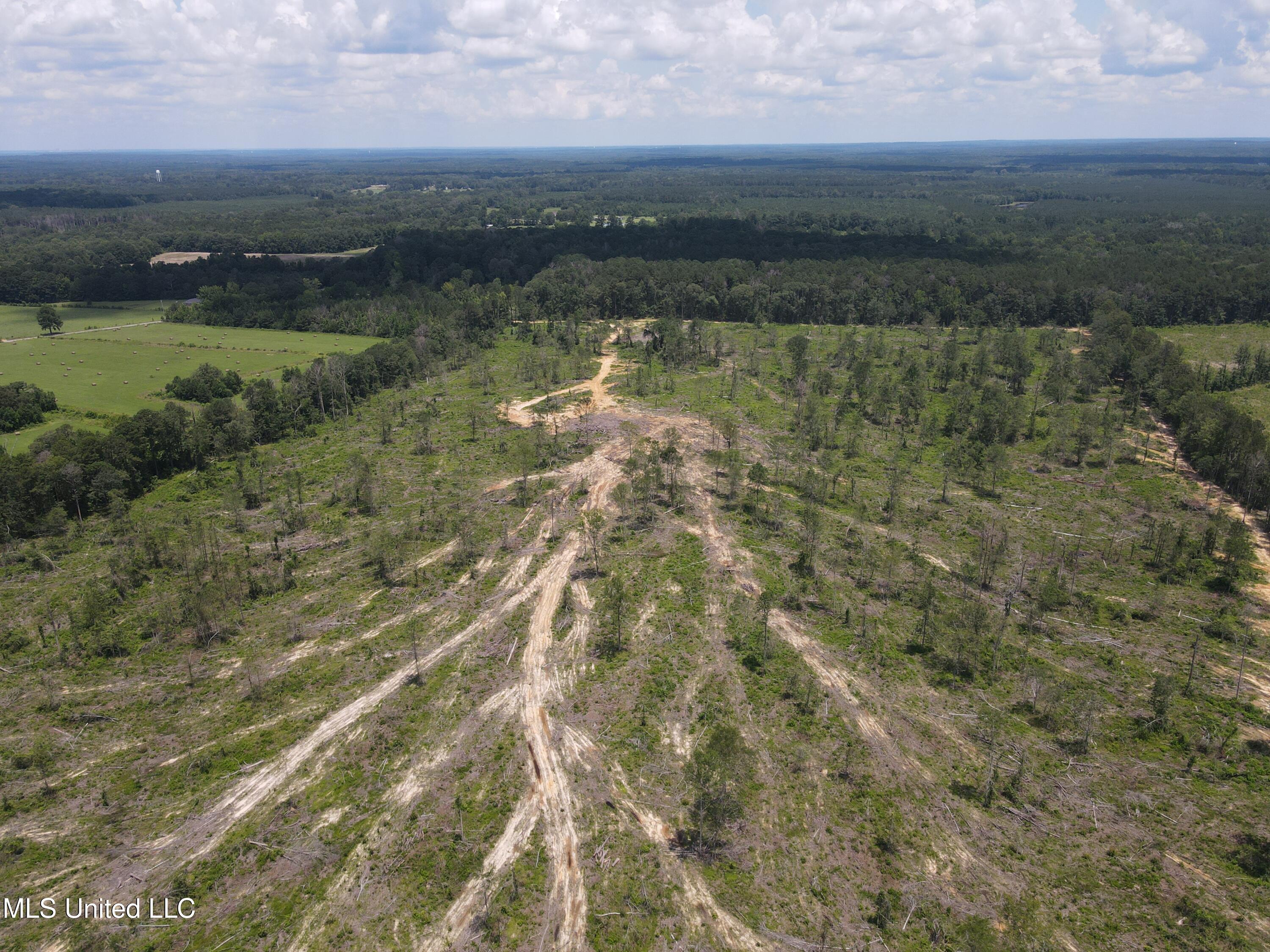 Henry Cannon Road Braxton, MS 39044 - Photo 6 of 33 DJI_0241