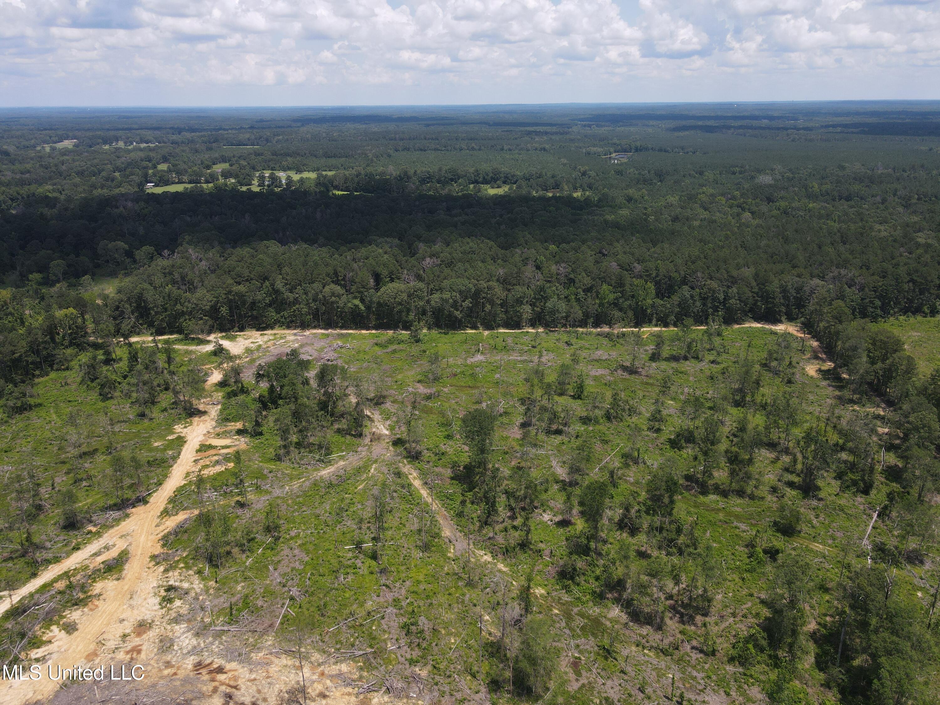 Henry Cannon Road Braxton, MS 39044 - Photo 8 of 33 DJI_0243