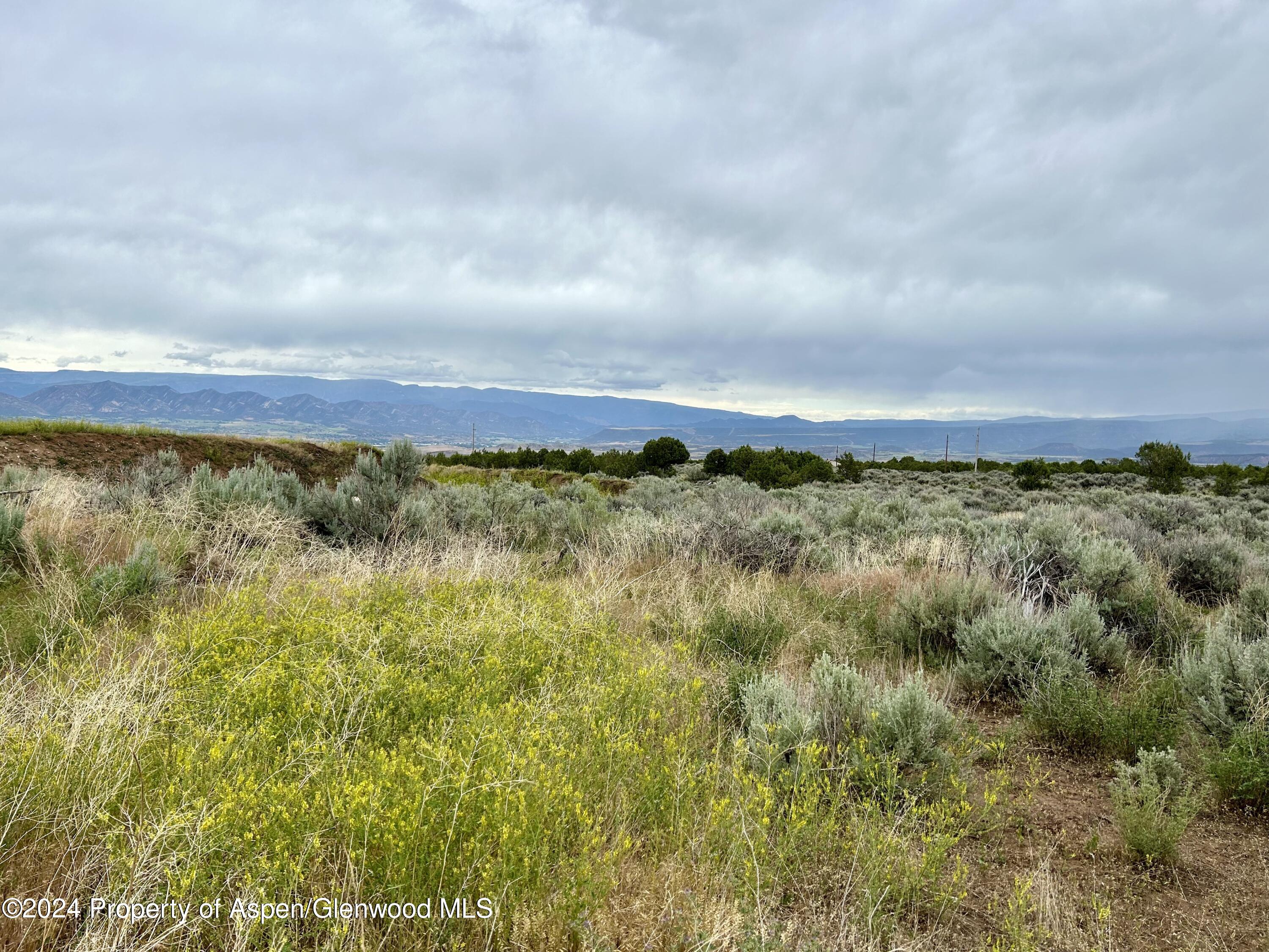 3711 Grass Mesa Road Rifle, CO 81650 - Photo 8 of 23 IMG_3900