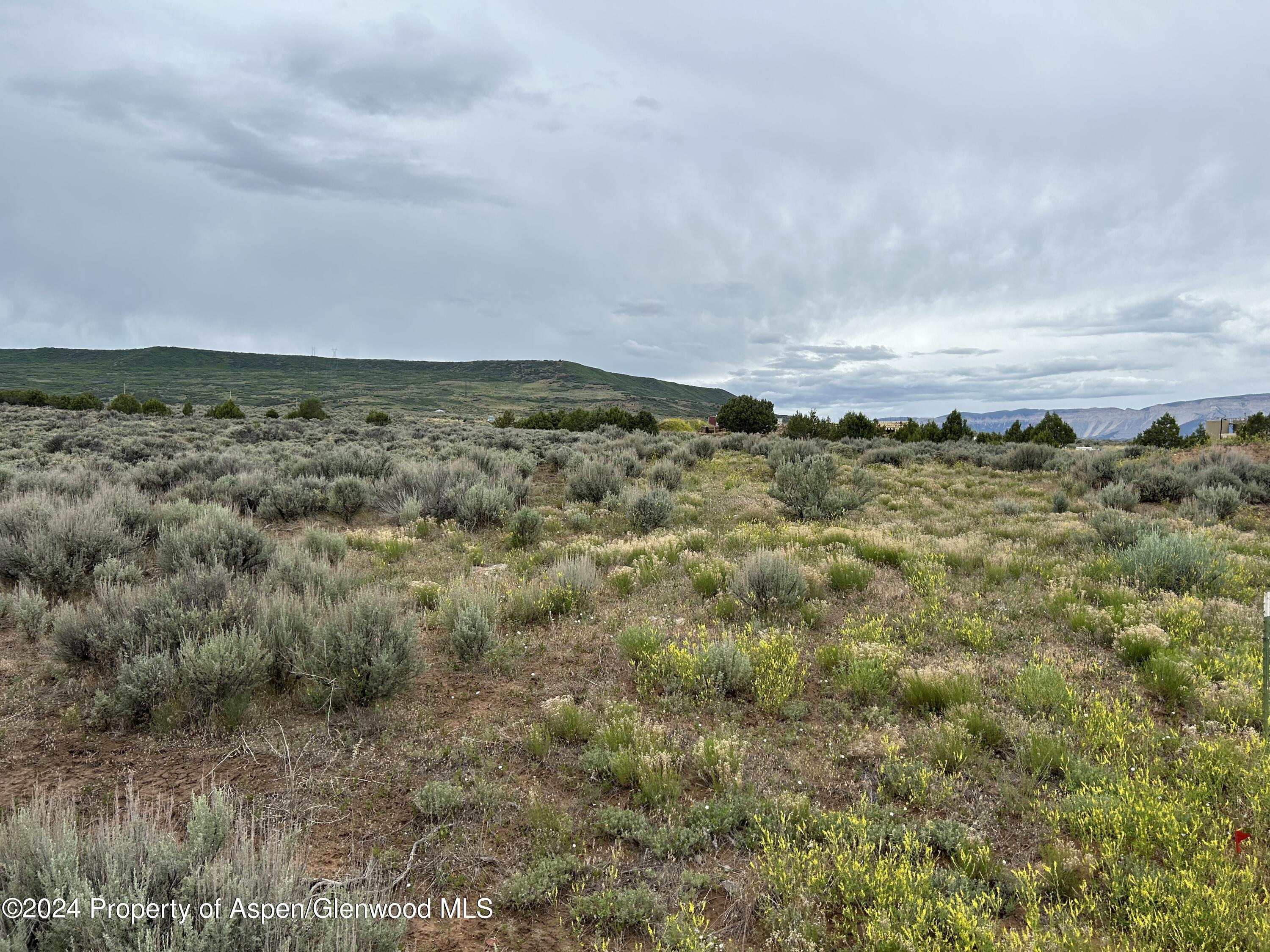 3711 Grass Mesa Road Rifle, CO 81650 - Photo 10 of 23 IMG_3903