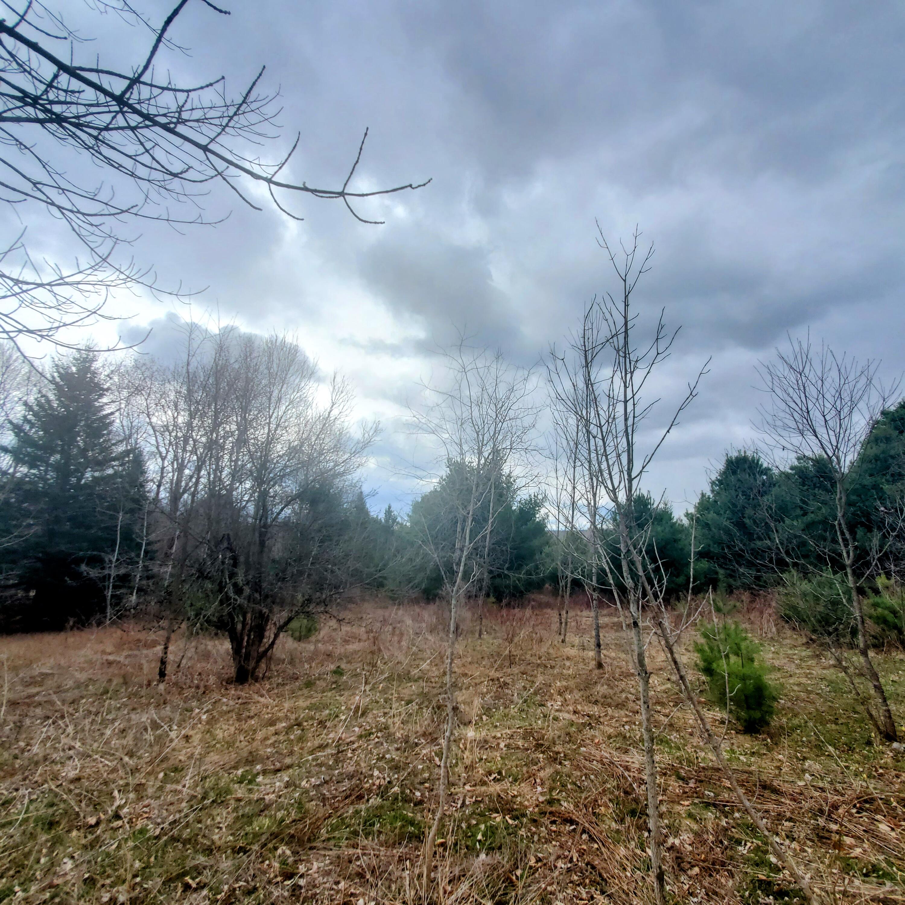 Lot 5 Dexter Road Cambridge, ME 04923 - Photo 3 of 5 20260424_103328-EDIT_278105c