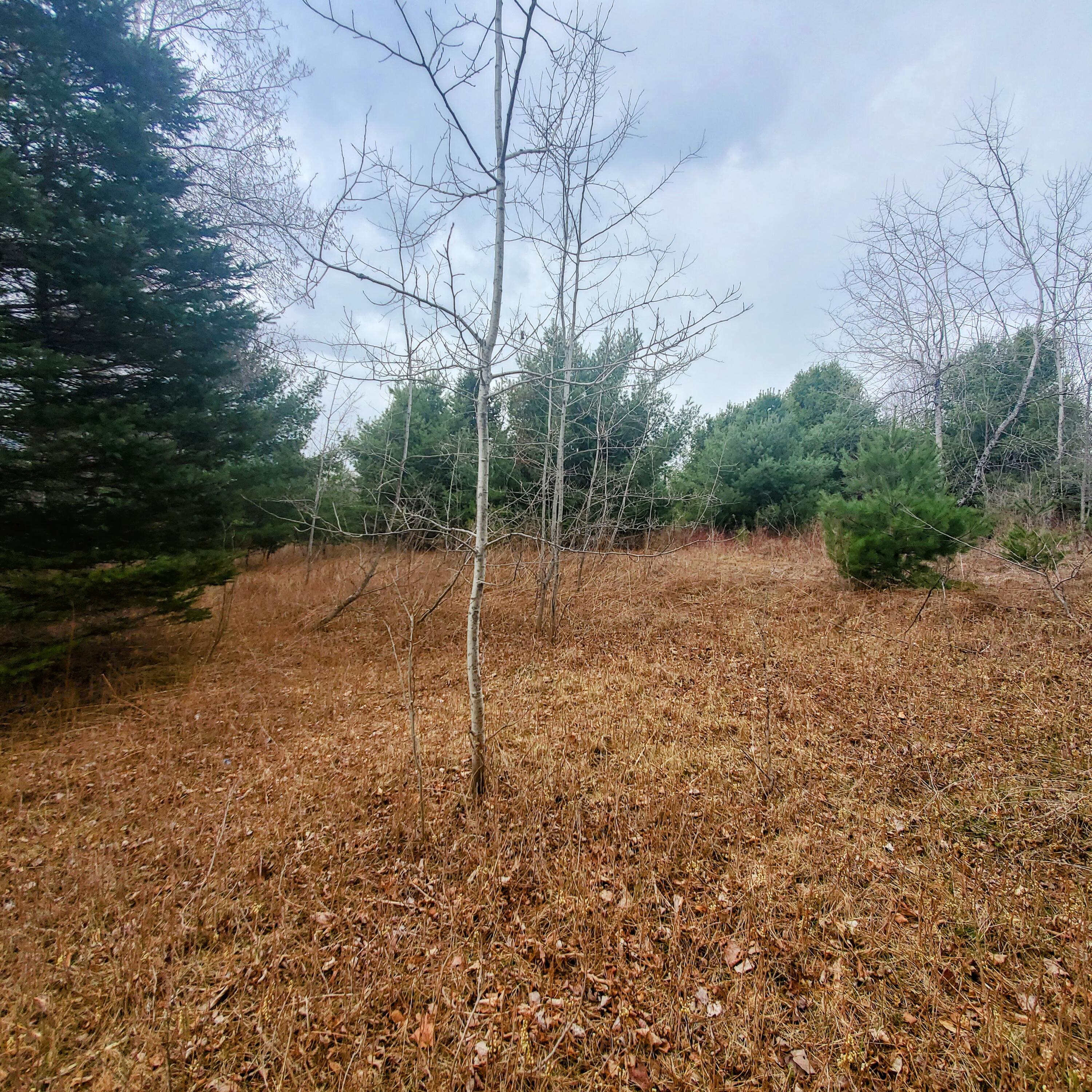 Lot 5 Dexter Road Cambridge, ME 04923 - Photo 5 of 5 photo1